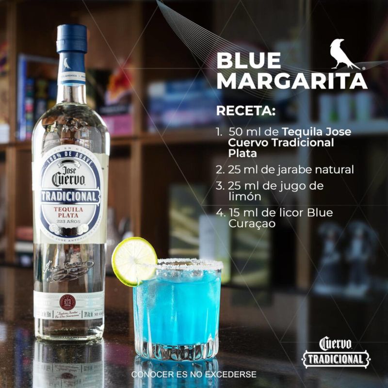 1 Botella Tradicional Plata 950ml
