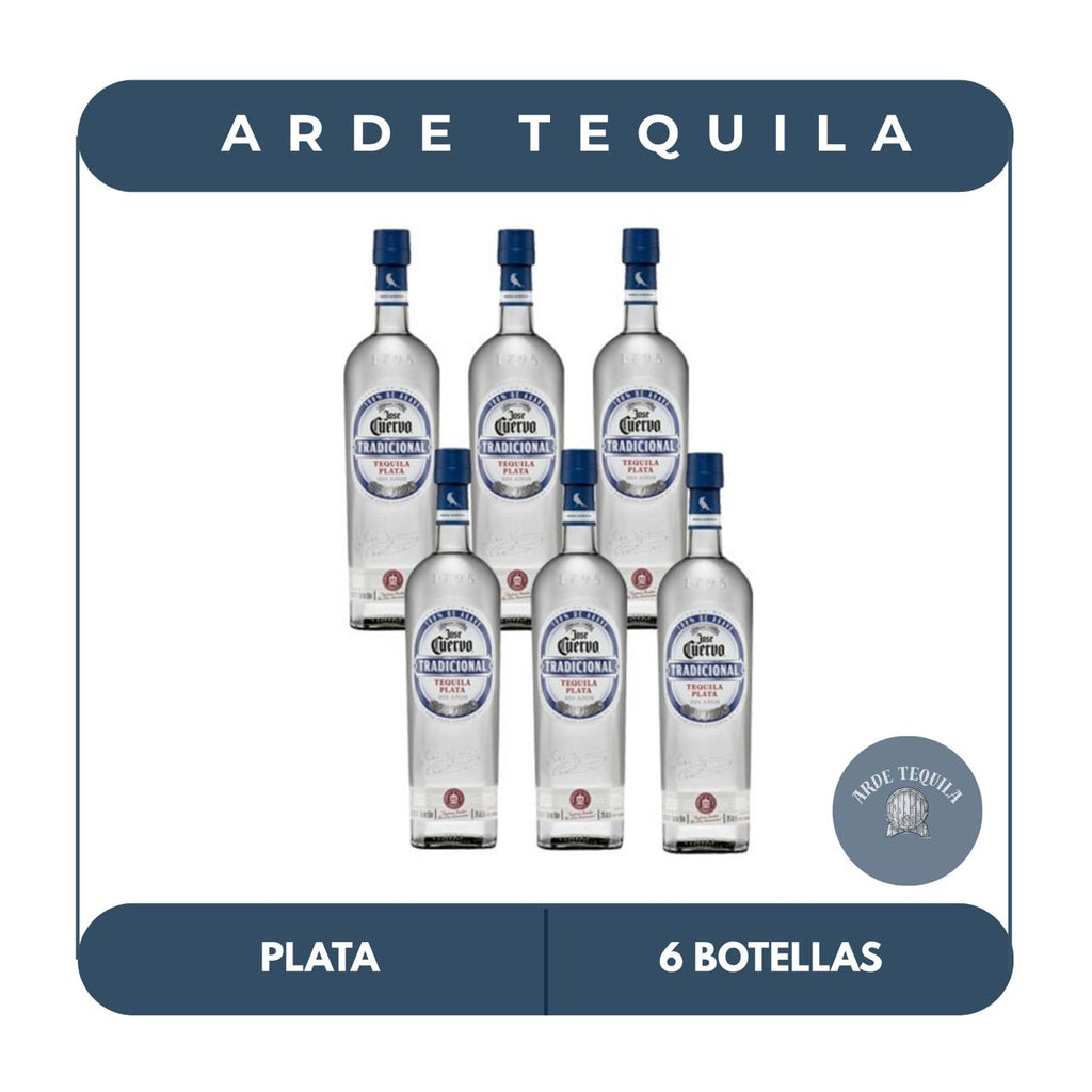 6 Botellas Tradicional Plata 695ml