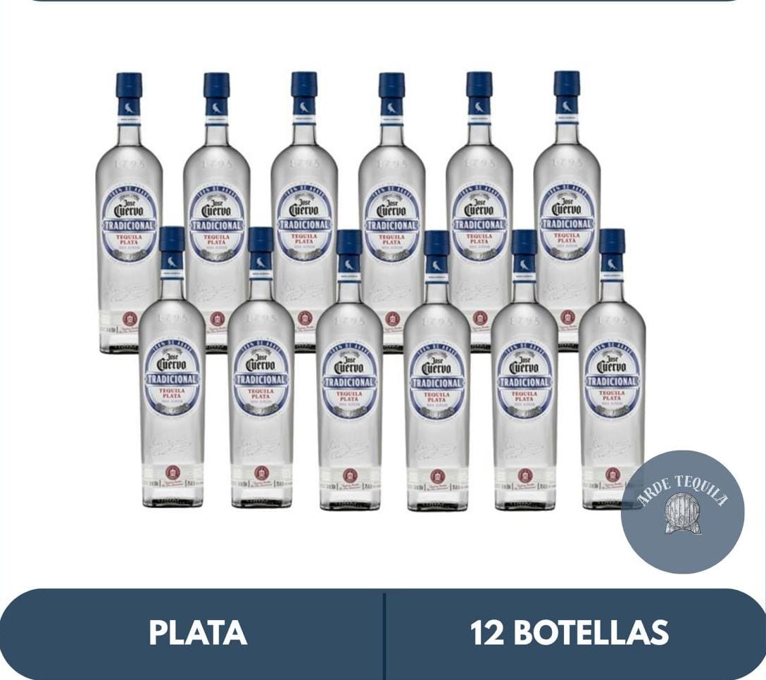 12 Botellas Tradicional Plata 695ml